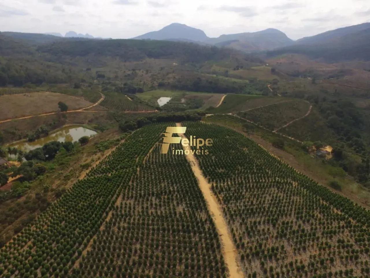 Fazenda de aproximadamente 50 alqueires.
