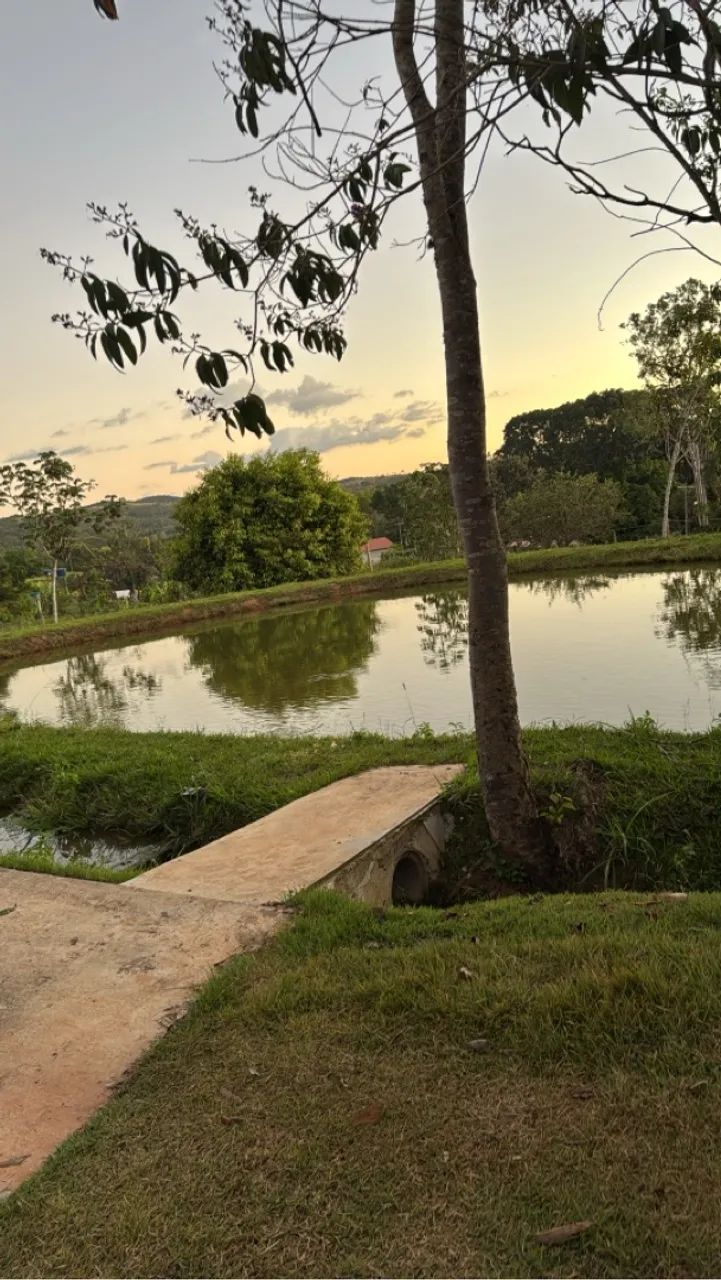 Foto - Aparecida de Goiânia - Garavelo Residencial Park