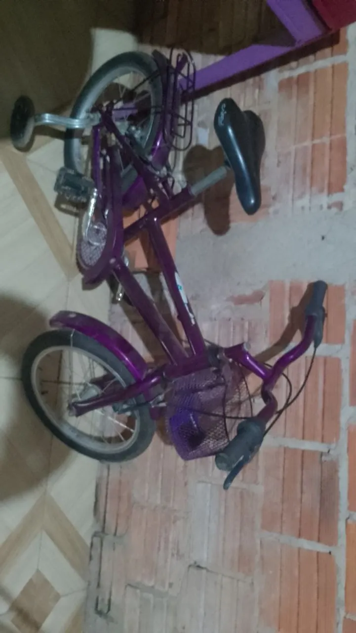 Bicicleta Infantil Roxa com Rodinhas