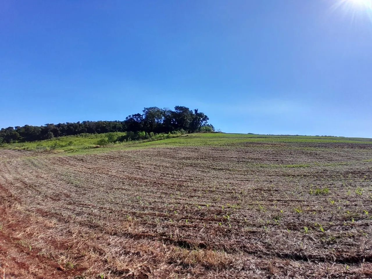 Sítio de 30 alqueiro  - Foto 2