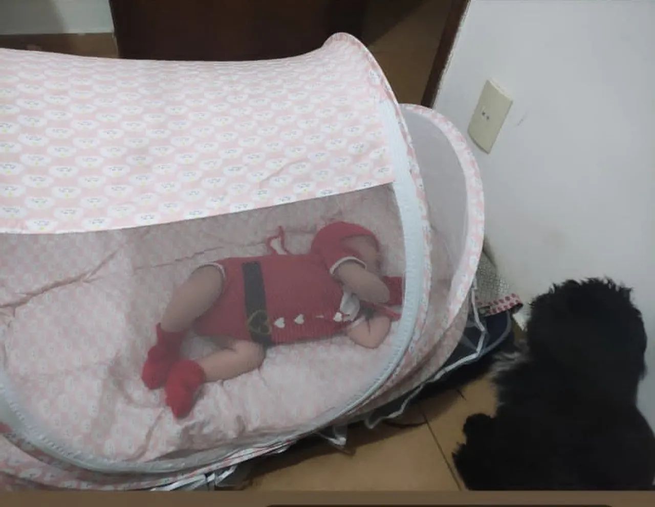 Berço portátil com mosqueteiro  - Foto 6