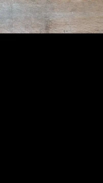 Fofa filhotinha de lulu da Pomerânea  mini - Foto 6