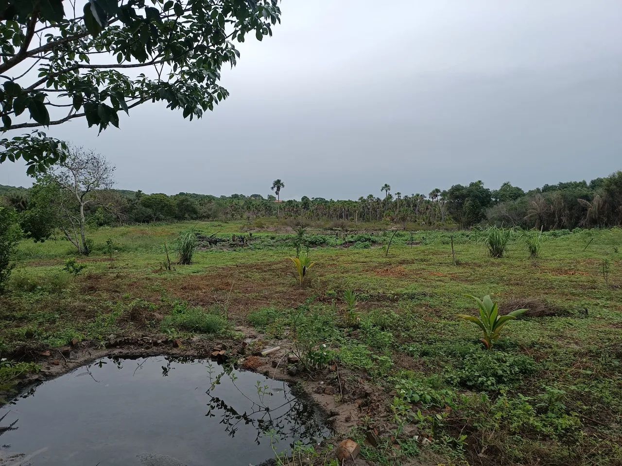 Lote rural  - Foto 4