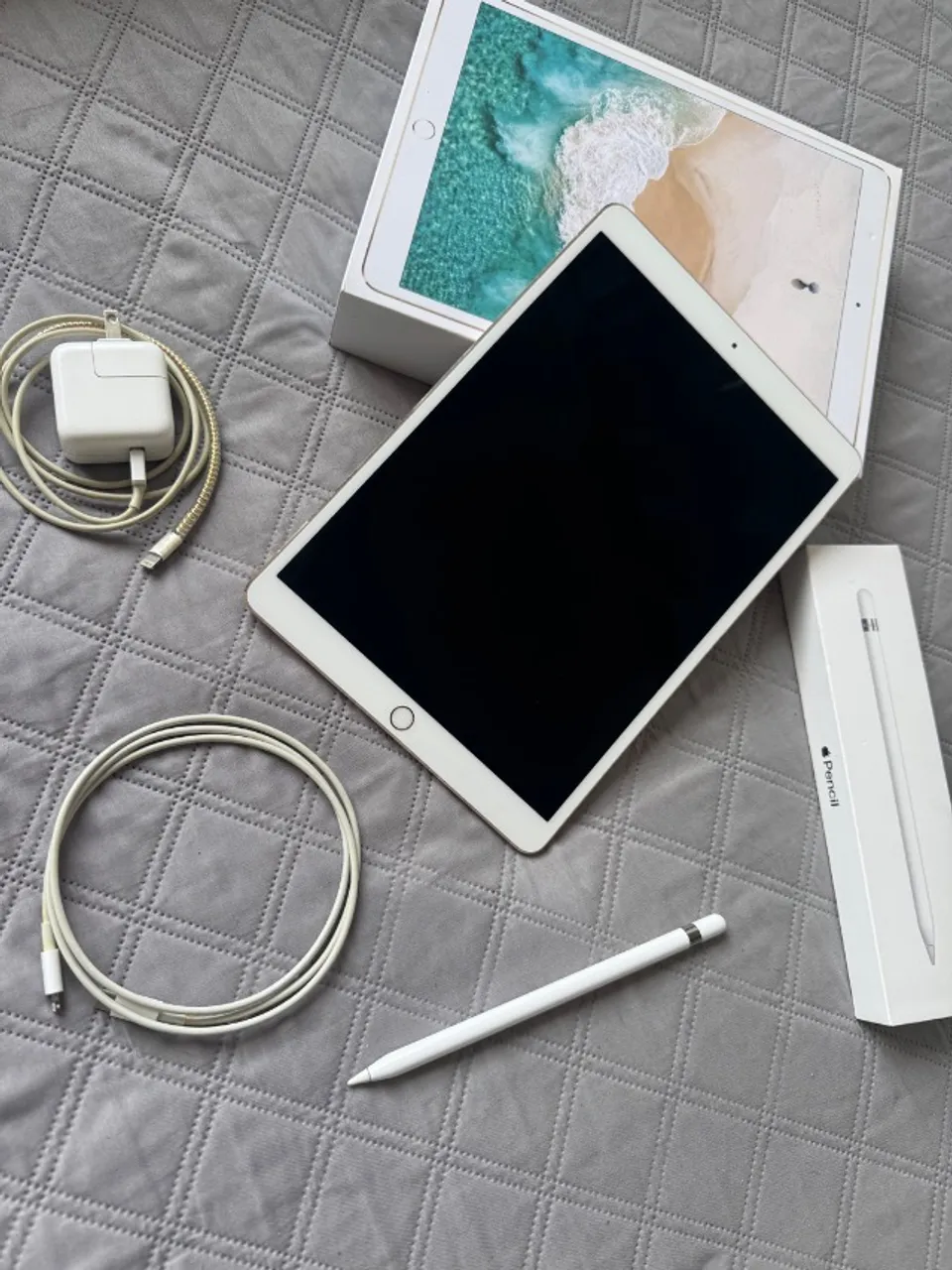 Apple pencil付きiPad Proシルバー 本体 ipad pro com apple pencil