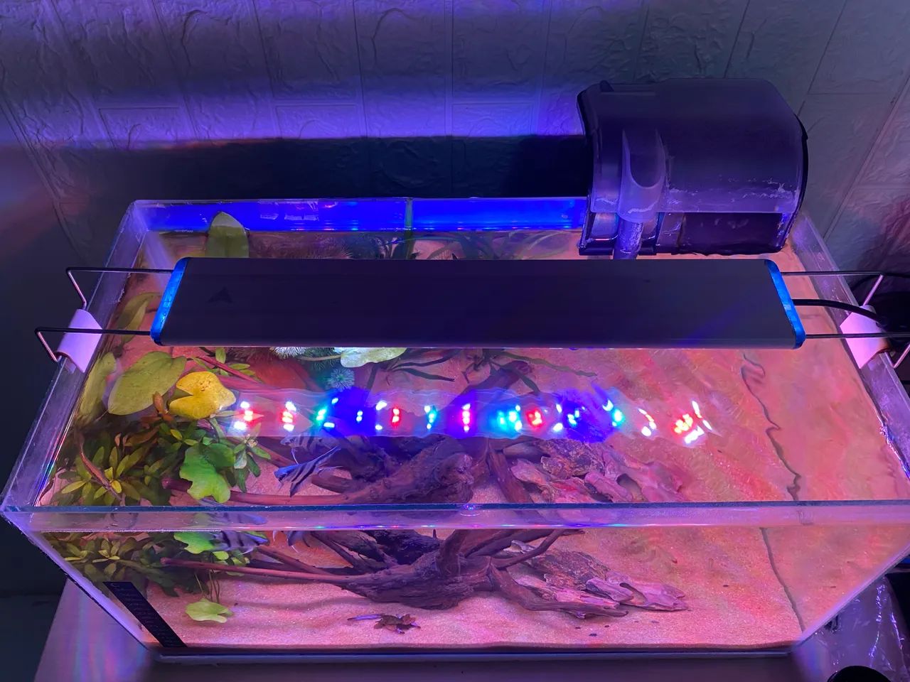 Aquário plantado completo  - Foto 5