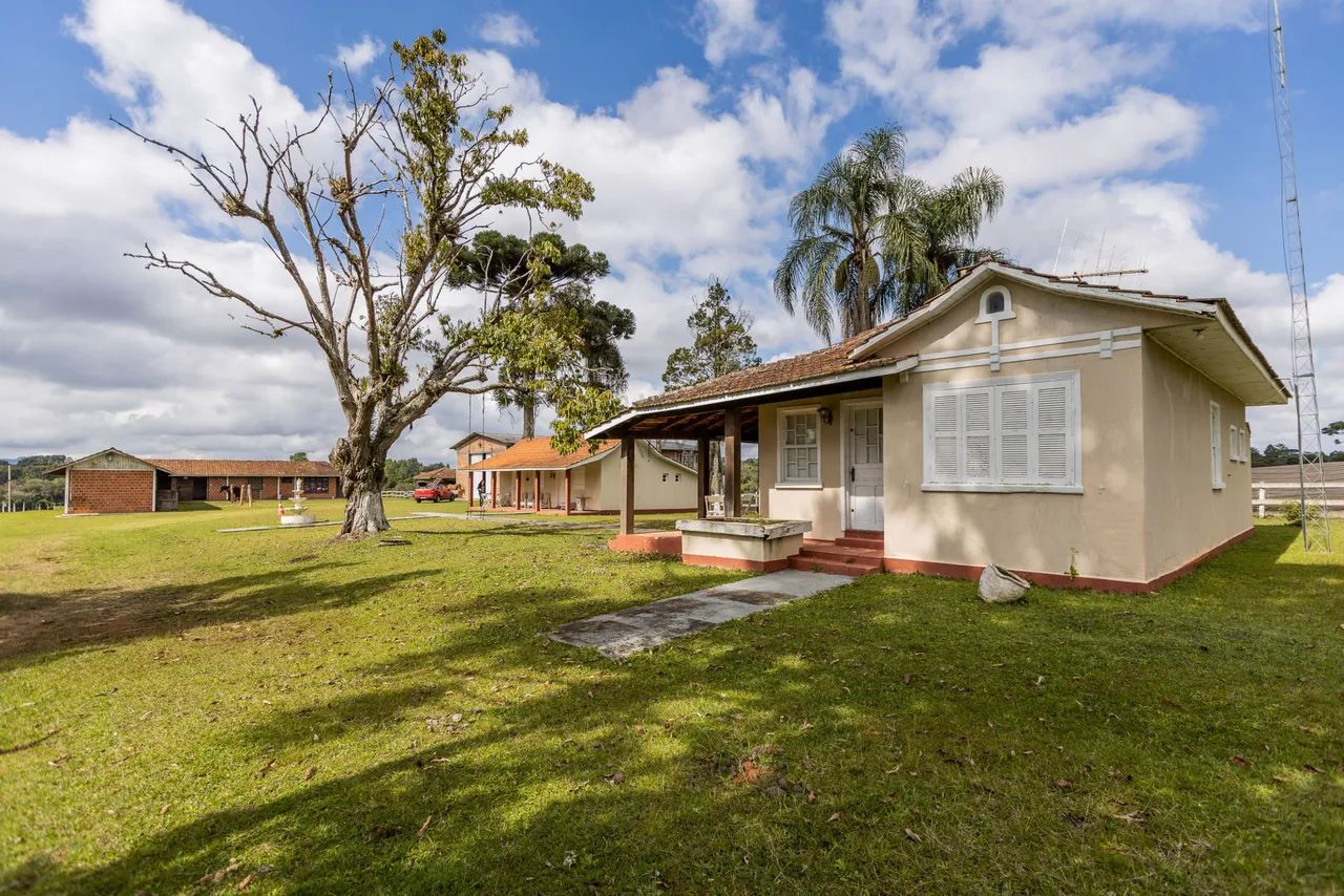 Haras em Piraquara - ARYA 1 - Foto 4