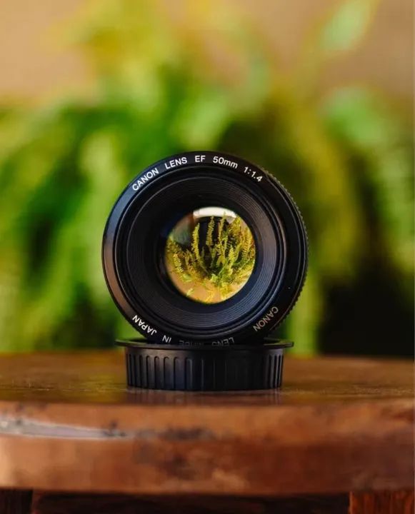 Lente Canon EF 50mm f/1.4