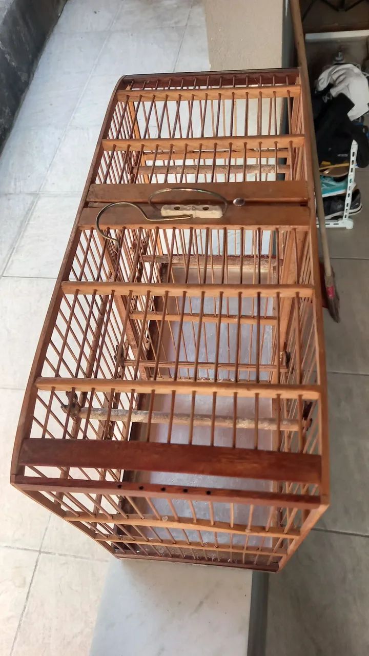 Gaiola441091357651783683