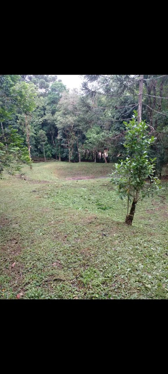 Chácara Terreno com 5.000m2 - Foto 4