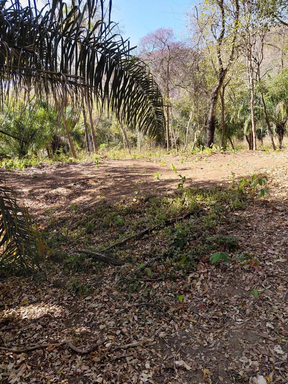 Área escriturada, com compra e venda  - Foto 3