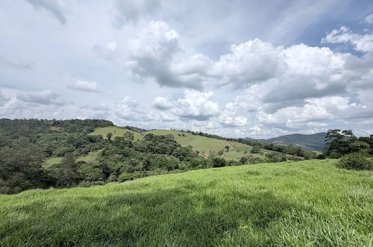 Imóvel para venda possui 65000 metros quadrados em Área Rural de Pinhalzinho - Pinhalzinho