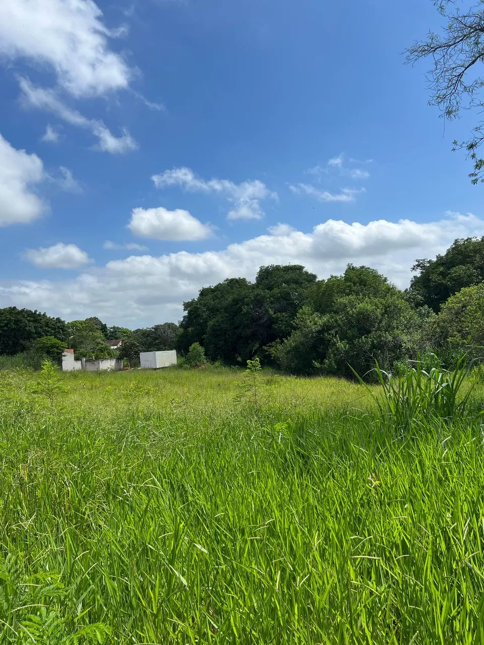 Foto - Rio de Janeiro - Padre Miguel