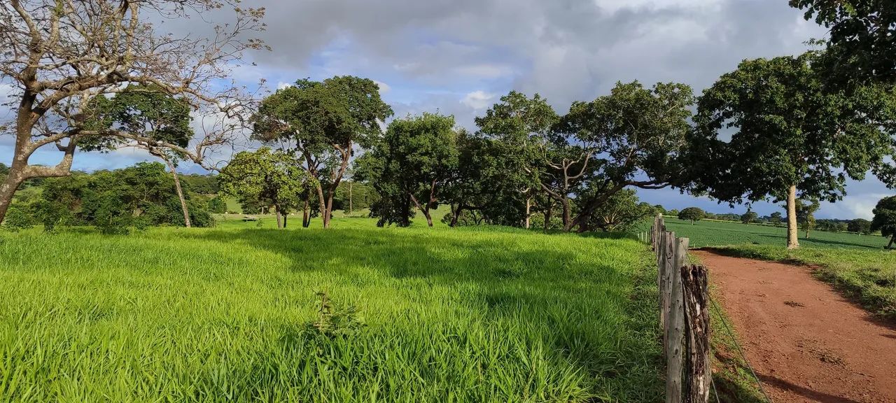 Chácara em Bela VISTA  - Foto 5