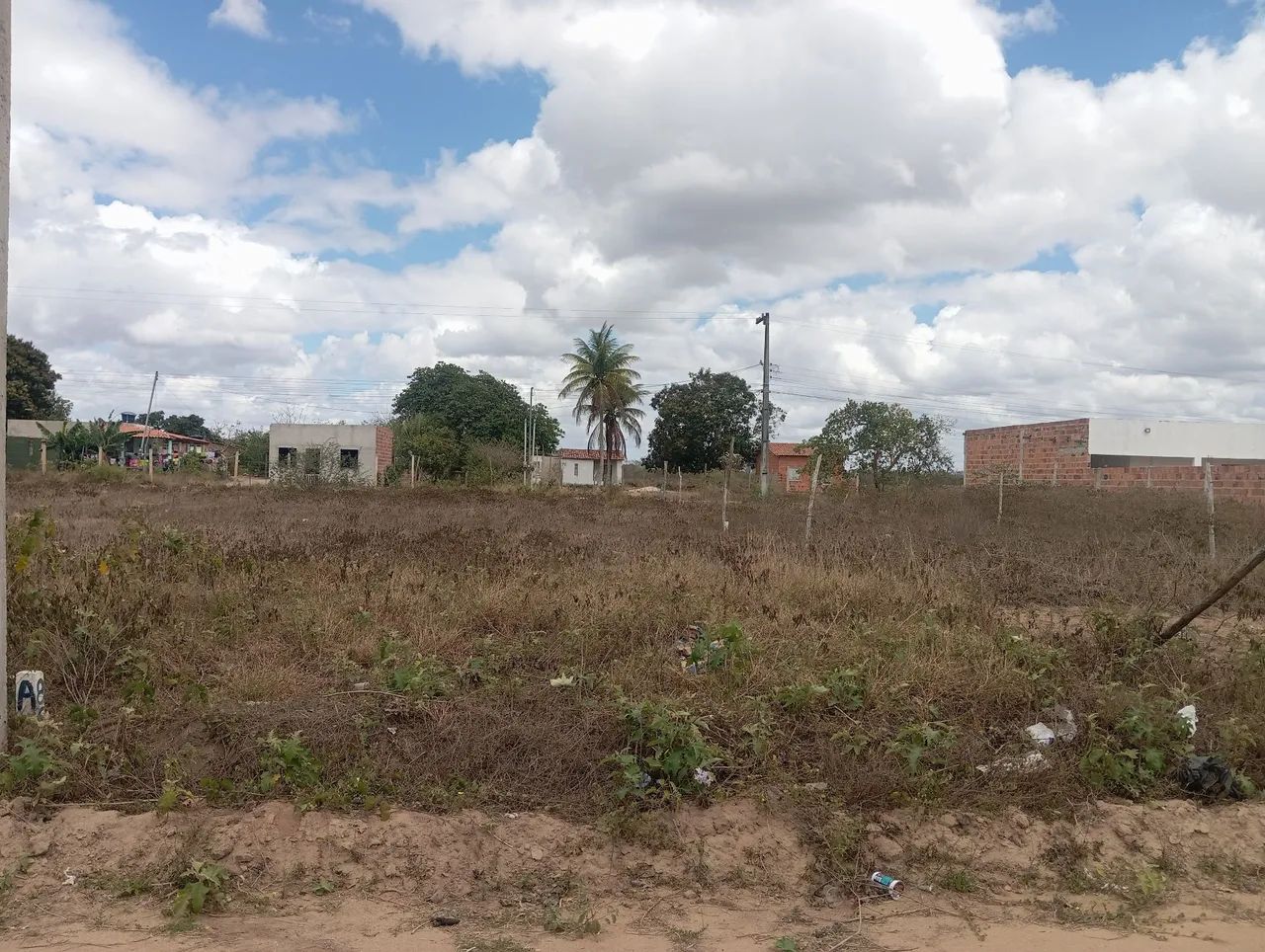 Lote - Foto 2