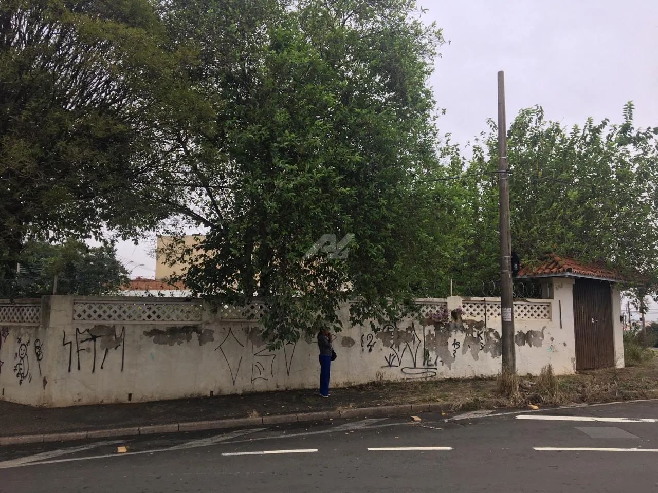 terreno - Vila João Jorge - Campinas - Foto 2
