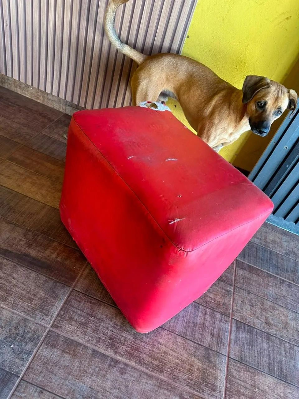 Puff Vermelho grande - uberlandia 