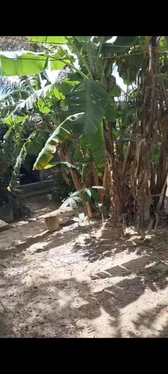 Chácara escriturada e registrada  - Foto 3