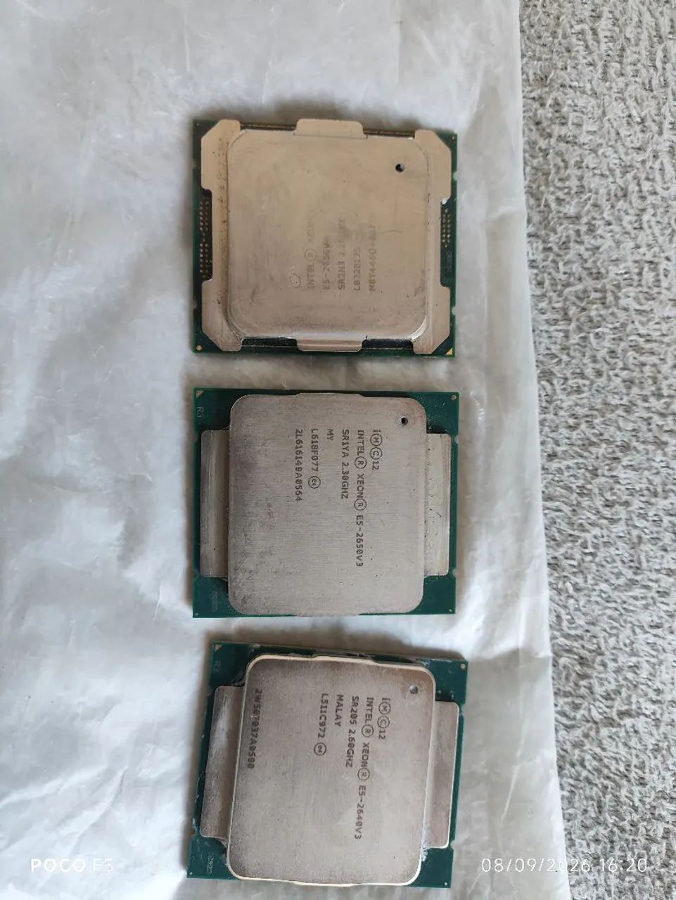 Processadores Xeon 50 cada
