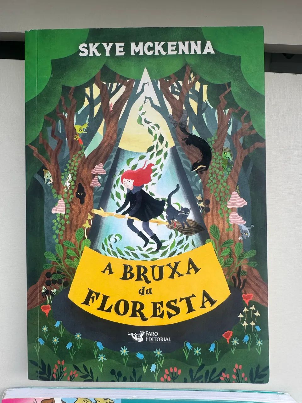 Livro A Bruxa da Floresta - Skye Mckenna