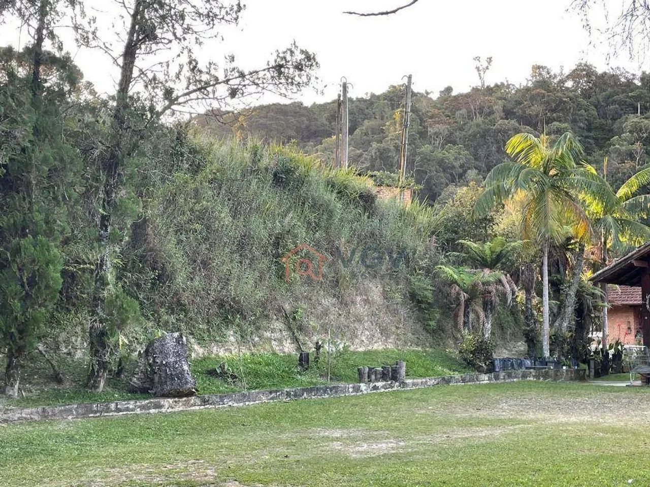 Lindo sitio a venda em são lourenço. - Foto 5