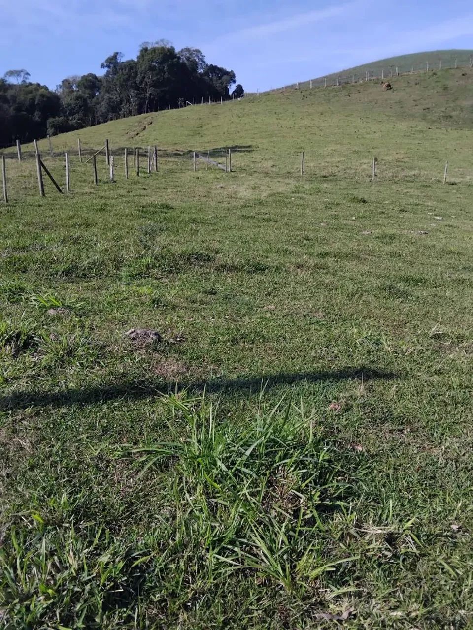 Sítio em Alfredo Wagner  - Foto 2