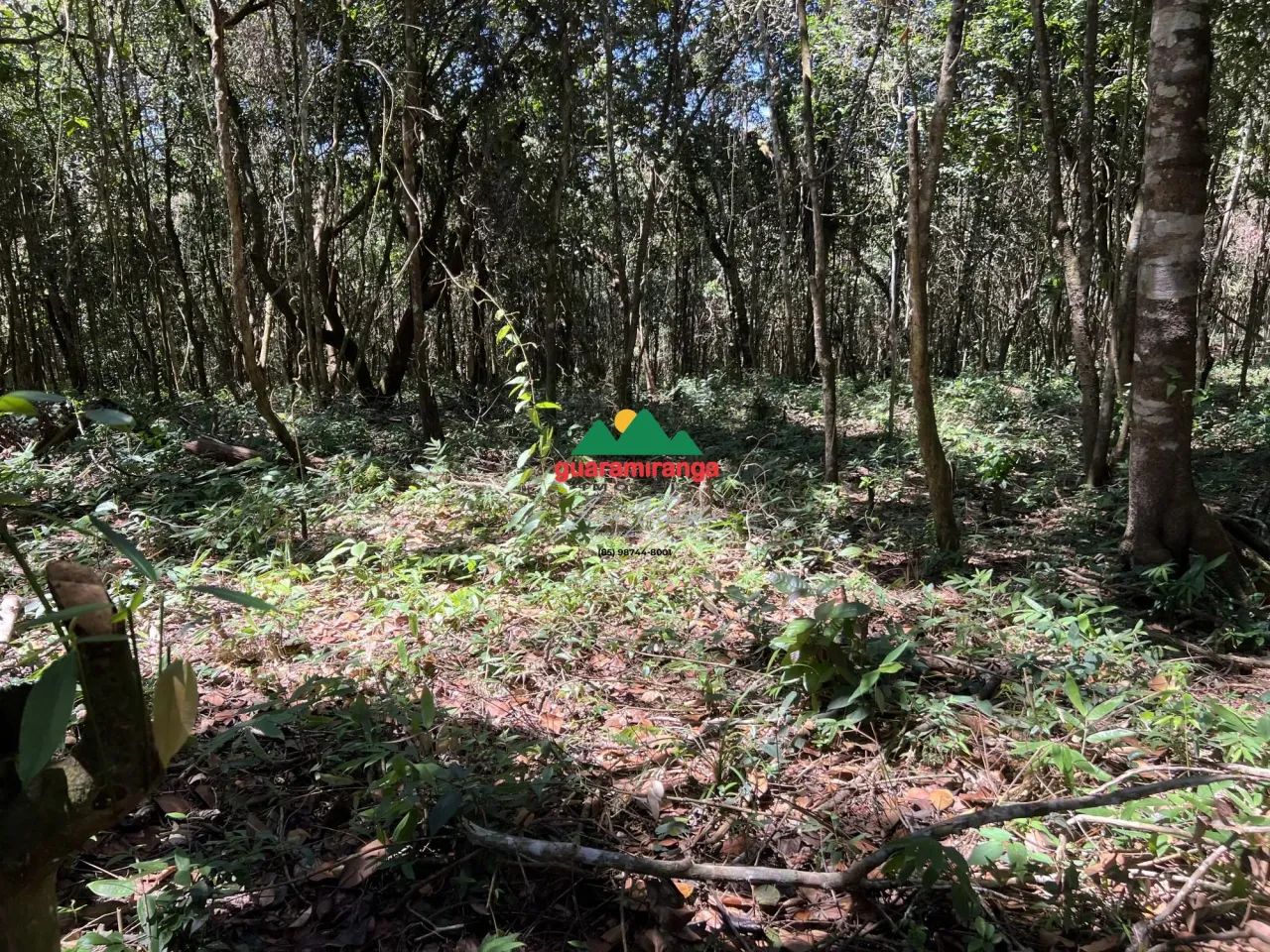 Terreno com vista panorâmica em Mulungu - Foto 4