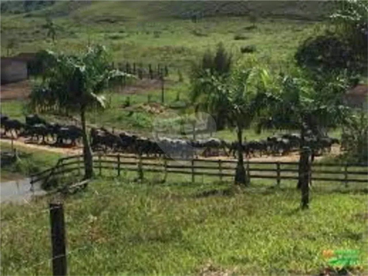 Fazenda à venda em Centro - SP - Foto 2