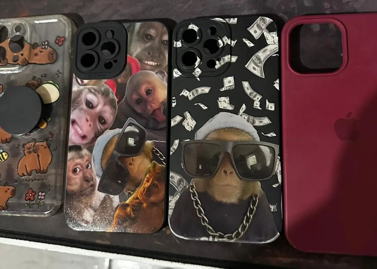 Capinhas para iPhone 13 Pro Max