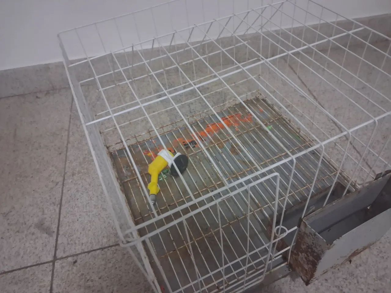 Gaiola para coelho - Foto 3