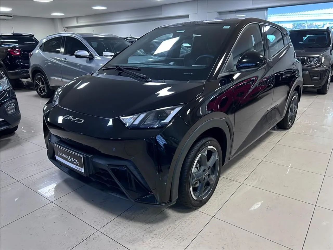 BYD Dolphin Mini (Elétrico) 2025 - Foto 3