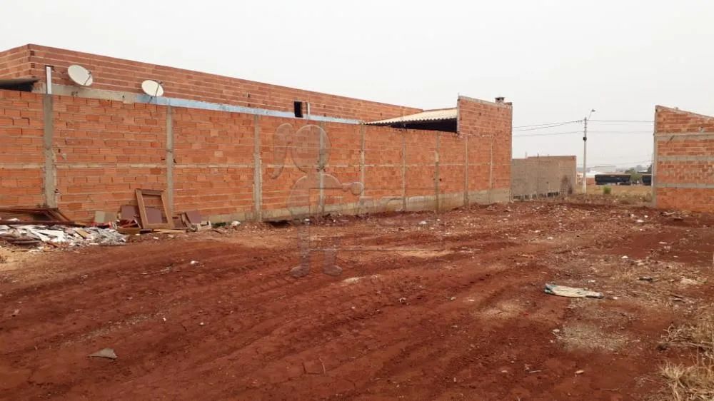 Terreno Padrão em Pradópolis - Foto 2