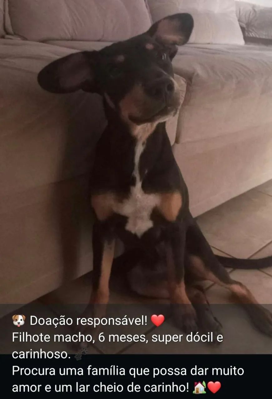 Doação 