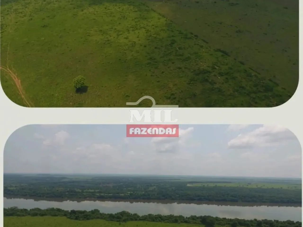 Fazenda 465 alqueires (2,252 hectares) Colinas - TO - Foto 3