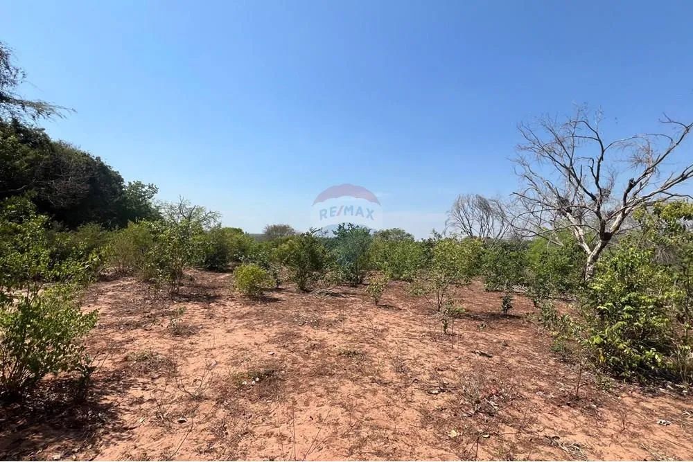 Fazenda à Venda em Araguaína - TO. - Foto 3