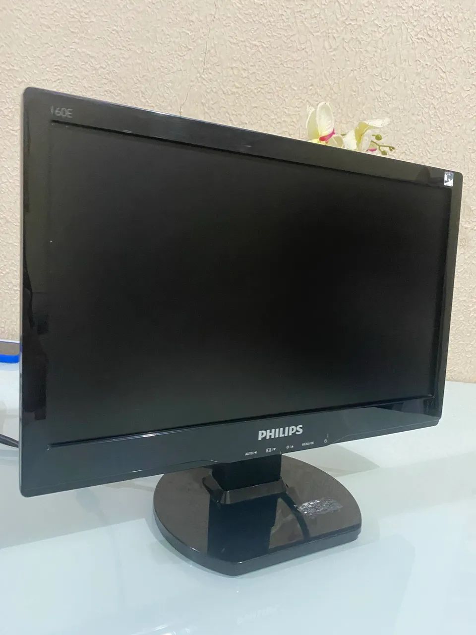 Monitor PHILIPS 15.6 polegadas