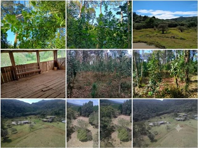 TERRENO 12,7 HA - Foto 4