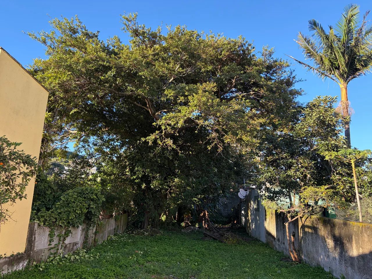 Vendo lindo lote perto Centro Histórico de Garopaba - Foto 5