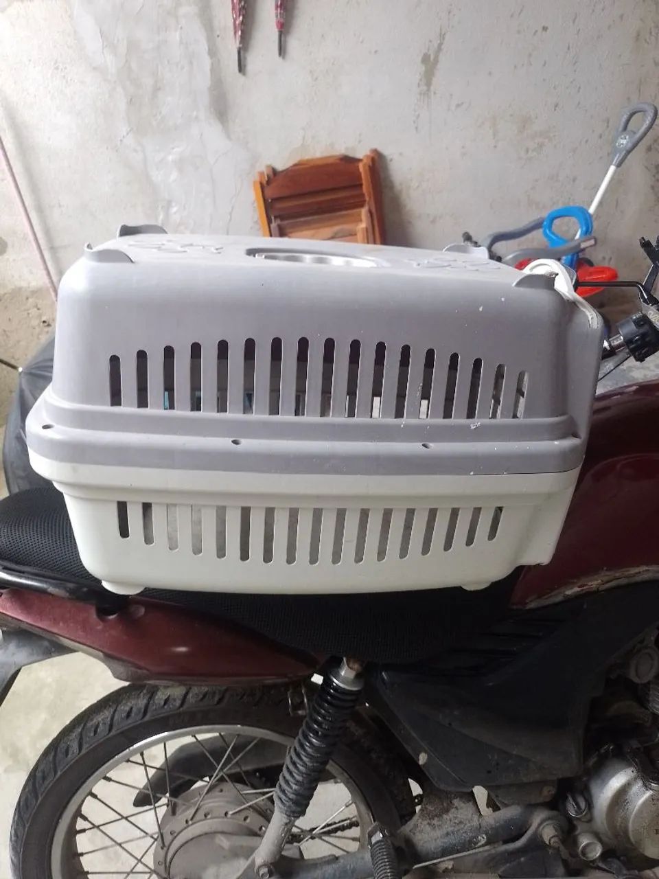 Transporte 