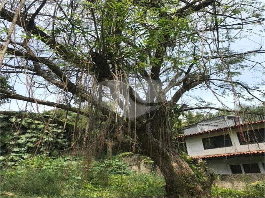 Terreno à venda em Morumbi - SP - Foto 3