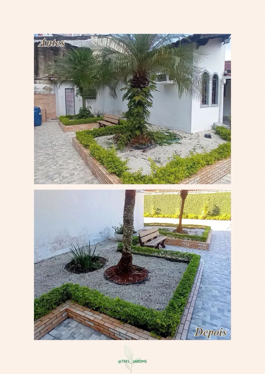 Jardineiro em Santos e Região  - Foto 4