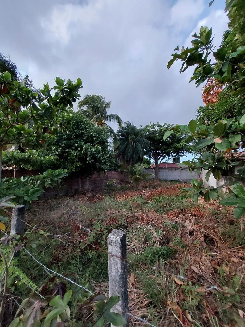 Terreno em catuama 12x30 troco em carro - Foto 3