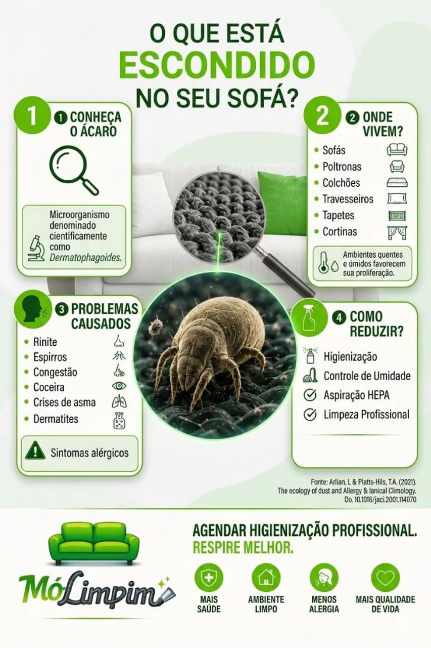 MOLIMPIM ESTOFADOS - LIMPEZA E HIGIENIZAÇÃO - Foto 2