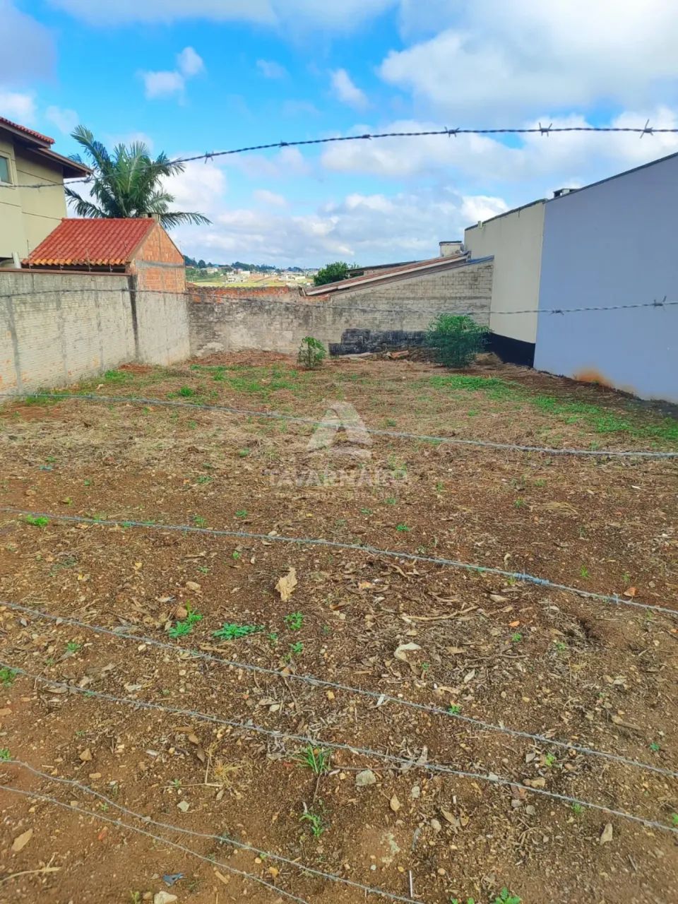 Terreno no Gianna - Foto 2
