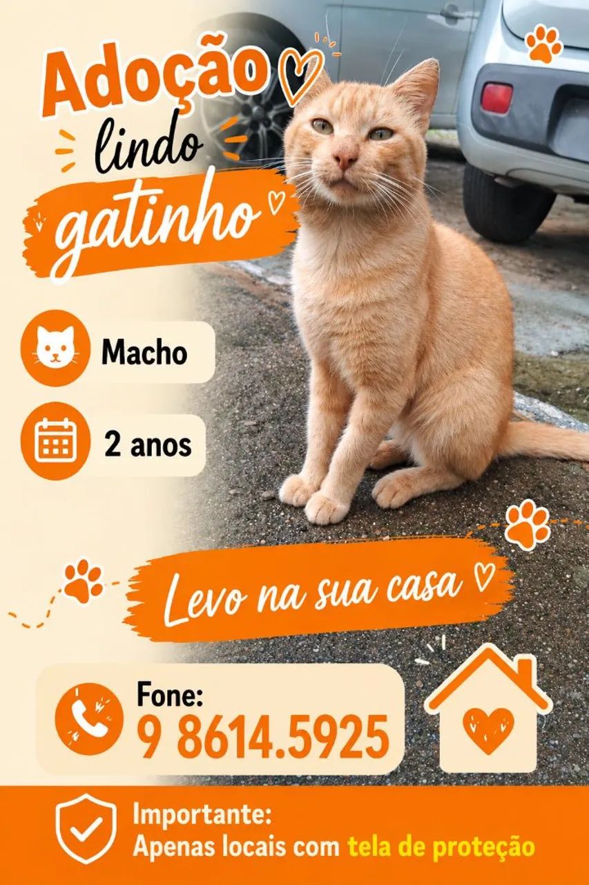 Lindos gatinhos - Foto 2
