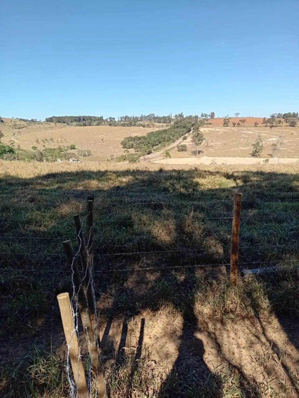 Chácara em Bonfim 20 mil metros² - Foto 3