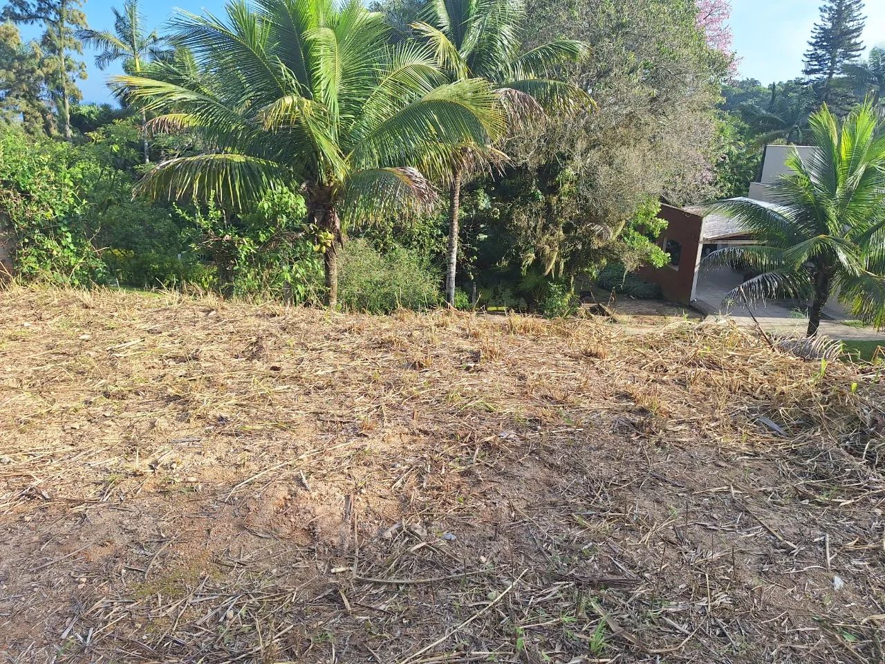 Terreno à venda no Sambaqui - Foto 5