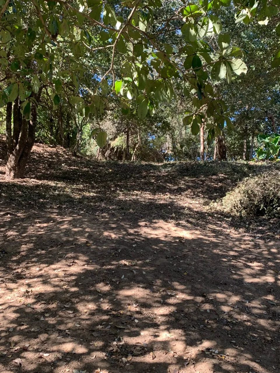 Vendo lote rancho . - Foto 4