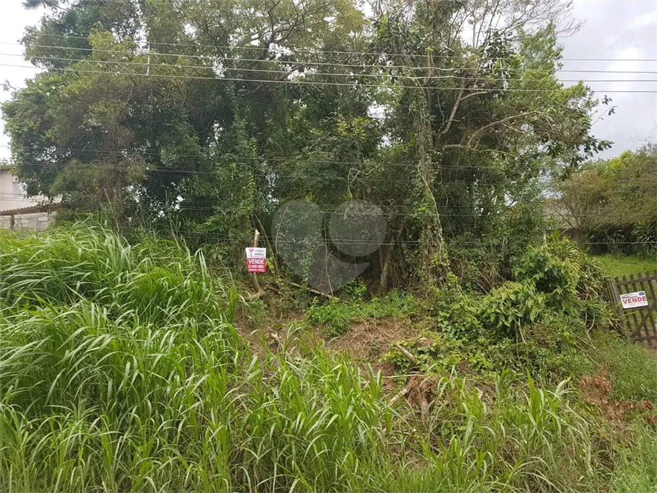 Terreno à venda em Santa inês - SP - Foto 3