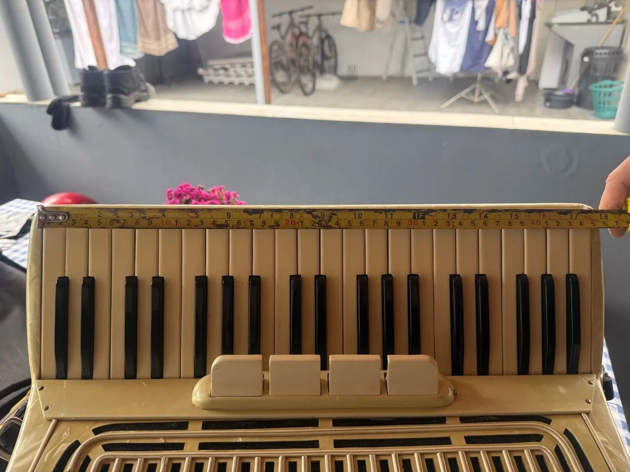 Acordeon - Foto 4
