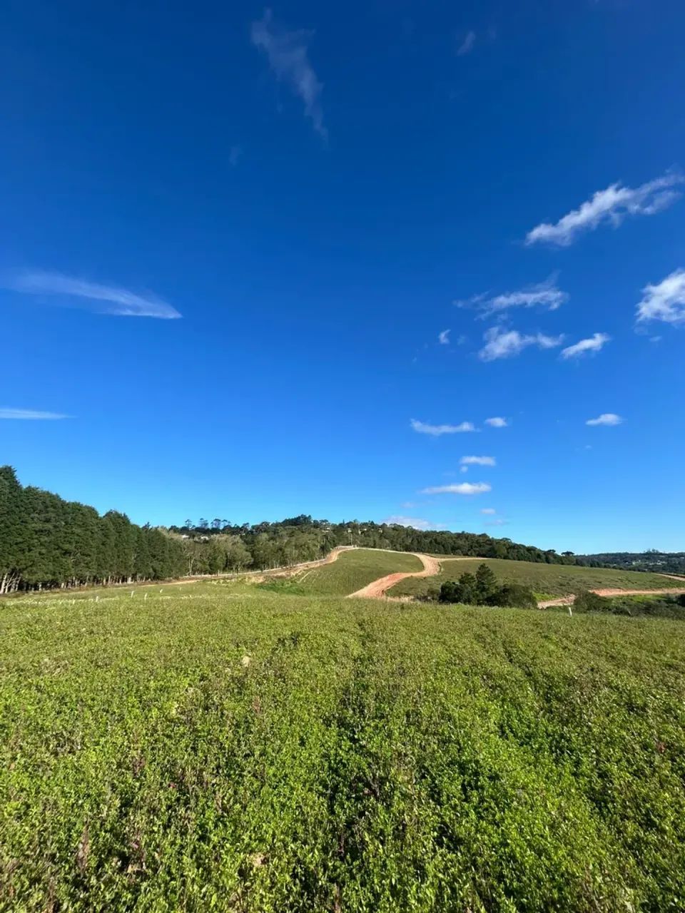 ESSA OFERTA DE 500m² EM COTIA MERECE SUA ATENÇÃO! - Foto 2